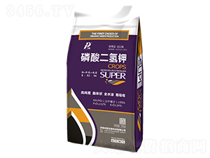 ��������-���(y��ng)����