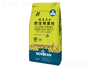 ΢�������-�������