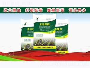 �����ЙC��-���S����-�º��S