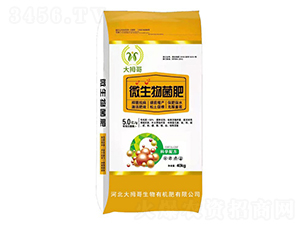 ΢�������-��Ĵ��