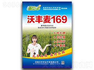 ���S��169-С���N��-�����S