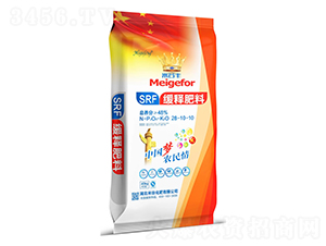 ��ጷ���28-10-10-�긣��ʢ