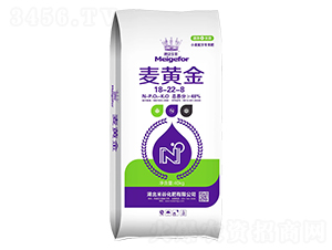 小麥配方專用肥18-22-8-宏福中盛