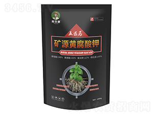 �VԴ�S�����-��ƥ�R-Ӣؐ��