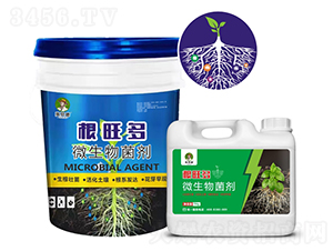 ΢�������-������-Ӣؐ��