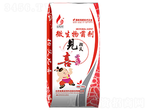 ΢����������w����̧�^Ҋϲ-���W����