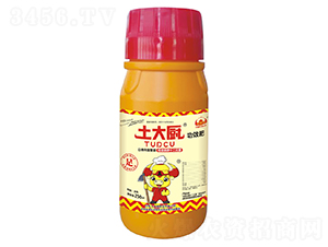 �}�V���ʮ��Ԫ��-����N