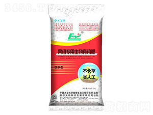 ���䌣�������ЙC(j��)��-�������B(t��i)