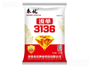 ����3136���׷N��-����(y��u)�N�I(y��)