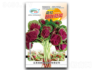 ���t�A�~�{��-�{�˷N��-��(r��n)�P(y��ng)�N�I(y��)