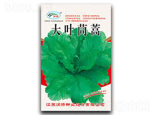 ���~����-����N��-��(r��n)�P(y��ng)�N�I(y��)