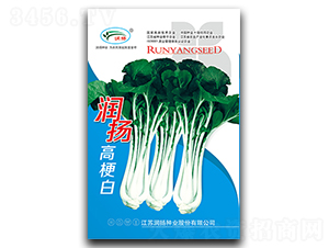 ��(r��n)�P(y��ng)�߹���-��˷N��-��(r��n)�P(y��ng)�N�I(y��)