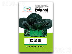 ������-��˷N��-��(r��n)�P(y��ng)�N�I(y��)