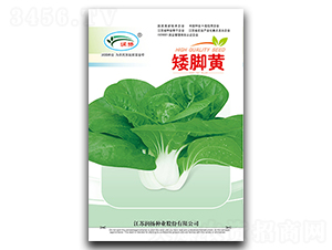 ���_�S-��˷N��-��(r��n)�P(y��ng)�N�I(y��)