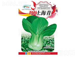 ��(r��n)�P(y��ng)�Ϻ���-��˷N��-��(r��n)�P(y��ng)�N�I(y��)