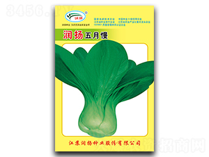 ��(r��n)�P(y��ng)������-��˷N��-��(r��n)�P(y��ng)�N�I(y��)