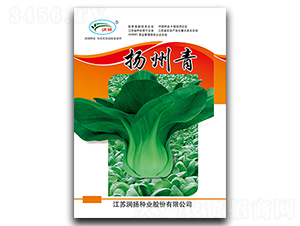 �P(y��ng)����-��˷N��-��(r��n)�P(y��ng)�N�I(y��)