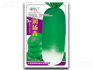 ���P(y��ng)��-�}���N��-���P(y��ng)�N�I(y��)