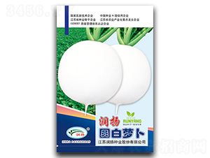 ���P(y��ng)�A���}��-�}���N��-���P(y��ng)�N�I(y��)