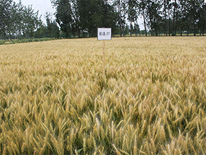 ݆�x27-С���N��-���P�N�I(y��)