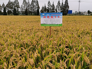 ��(r��n)�P(y��ng)��59-ˮ���N��-��(r��n)�P(y��ng)�N�I(y��)