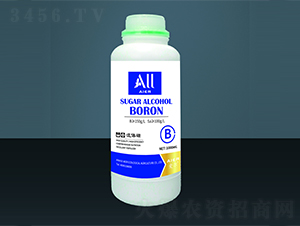 ���w��-��(��i)�����B(t��i)