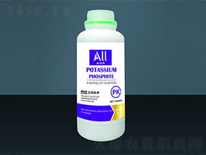 �������-��(��i)�����B(t��i)