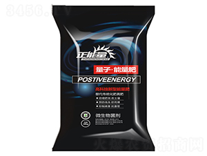 ���ӡ�������-������