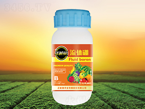 ���w��-������