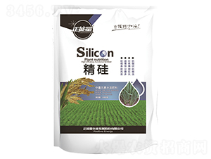 ˮ���їU����Silicon��������Ԫ��ˮ�ܷ���-������