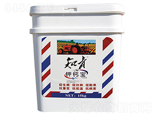 ��}��-֪��-������