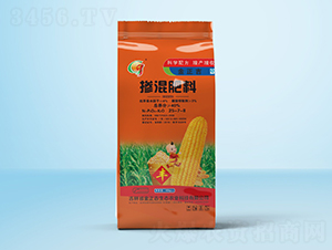 �������25-7-8-������