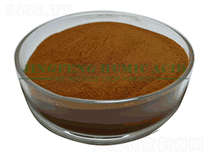 �����S����⛷�ĩ-���S��ֲ��