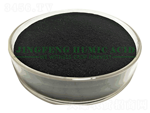 �S��ֲ���c��-���S��ֲ��