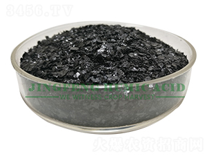 �S��ֲ���Ƭ-���S��ֲ��