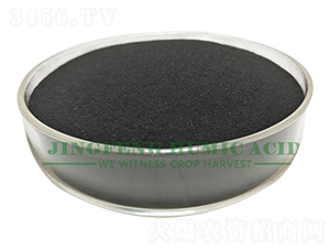 �S��ֲ��⛷�-���S��ֲ��