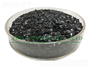 �S��ֲ��Ƭ-���S��ֲ��