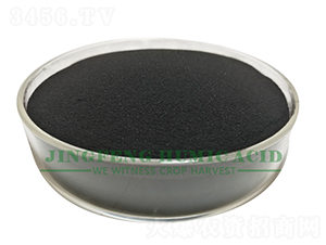 �S��ֲ���-���S��ֲ��