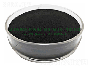 ��ֳ���@��ĩ-���S��ֲ��