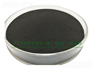 ��ֲ���ĩ-���S��ֲ��