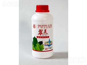 ����-����Ƽ�