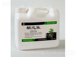 ��֮��-����Ƽ�