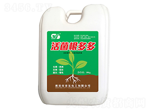 ��������-���|����