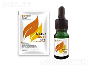 ������-��Ȼ��