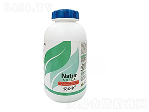 ���Ă�-��Ȼ��