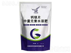 �}�VƬ-�w�}(c��ng)����