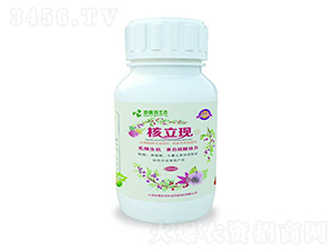 �����F(xi��n)��ƿ��-��W�����B(t��i)