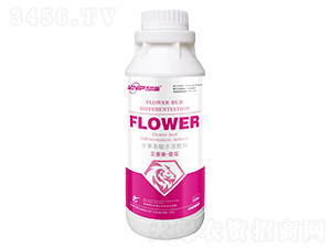 �����𡤴ٻ�-������