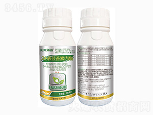 24-���|̦�؃�(n��i)֬-�(y��ng)����¶-���r(n��ng)��