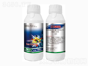 480��ÿ�������-�����-���r(n��ng)��